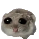 flippendoh emote for Discord