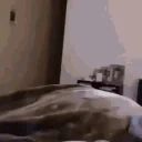 flash emote for Discord