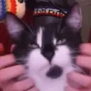 Floof emote for Discord