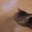 FLUH emote for Discord