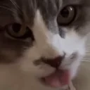 freaky emote for Discord