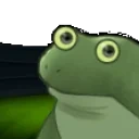 FrogeFC emote for Discord