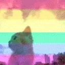 FreedomGay emote for Discord