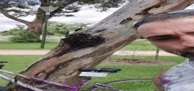 FREEEEEE emote for Discord