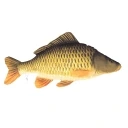 Frank emote for Discord