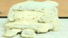 FRIESOFCRINGE emote for Discord