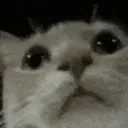 friendCheck emote for Discord