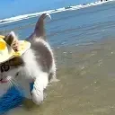 Freedom2 emote for Discord