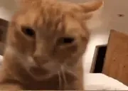 FREAKY emote for Discord