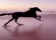 Free emote for Discord