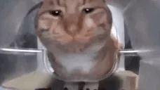 freshBonk emote for Discord