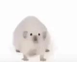 Freia emote for Discord