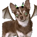 FruitBatOz emote for Discord