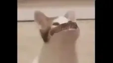 Freddiepop emote for Discord