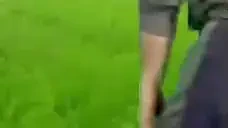 FreeCat emote for Discord