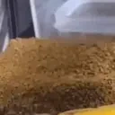 frogArrive emote for Discord