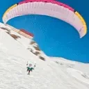 FrecklAirlines emote for Discord