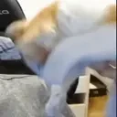 fred emote for Discord