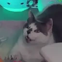 FryPOPOFF emote for Discord