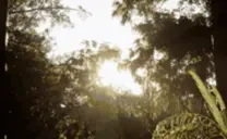 fromthetoprope emote for Discord