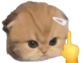 friccu emote for Discord