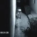 fresno emote for Discord