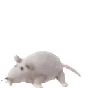 FrankieGroupHug_HeyWelc emote for Discord