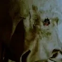 fridayTilt animated emote for Discord, Twitch and Slack