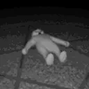 FrenRitual emote for Discord