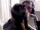 FreeyTusia emote for Discord