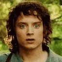 Frod emote for Discord