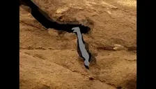 FRANCOD emote for Discord