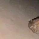 Froge emote for Discord