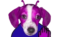 Franklapp emote for Discord