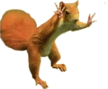 fsqu emote for Discord