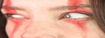 fsusge emote for Discord