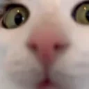 fuh emote for Discord