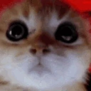 furios emote for Discord