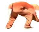 furryRun emote for Discord