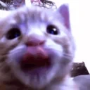 fuh emote for Discord