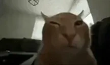 fullkekw emote for Discord