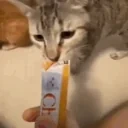 FUCKOFFBrorNOWItsFunnyC emote for Discord