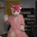 furryPls emote for Discord