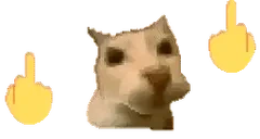 fuckyoufuckyou emote for Discord