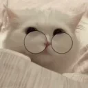 ftostalo emote for Discord