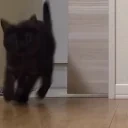 fuh emote for Discord