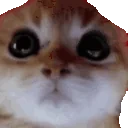 furios emote for Discord