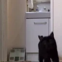 fuhh animated emote for Discord, Twitch and Slack