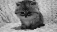 Fuksi_ emote for Discord