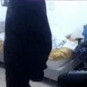 FUCKING emote for Discord